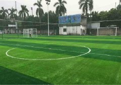 臺州人造草坪廠家